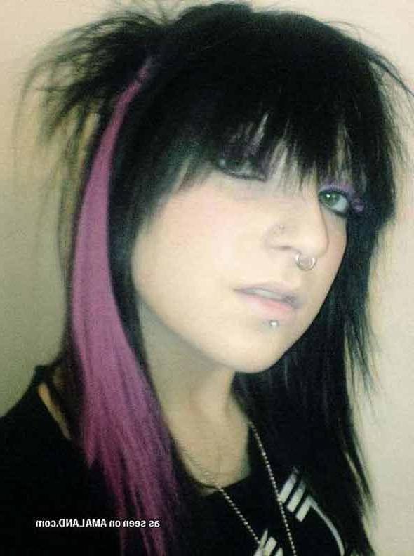 13P Nice collection of a mix of steamy hot kinky scene babes