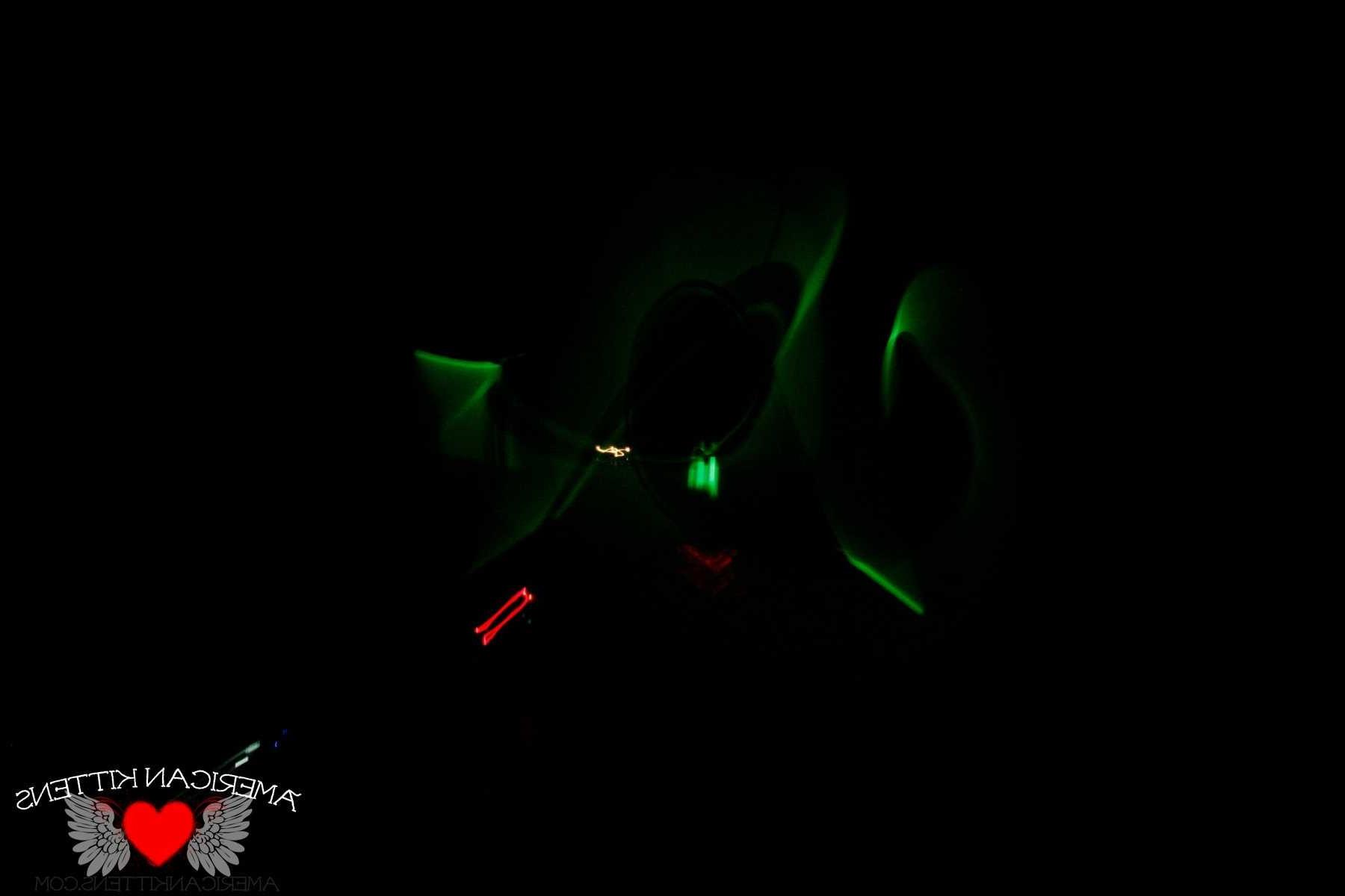 18P Jetta lights