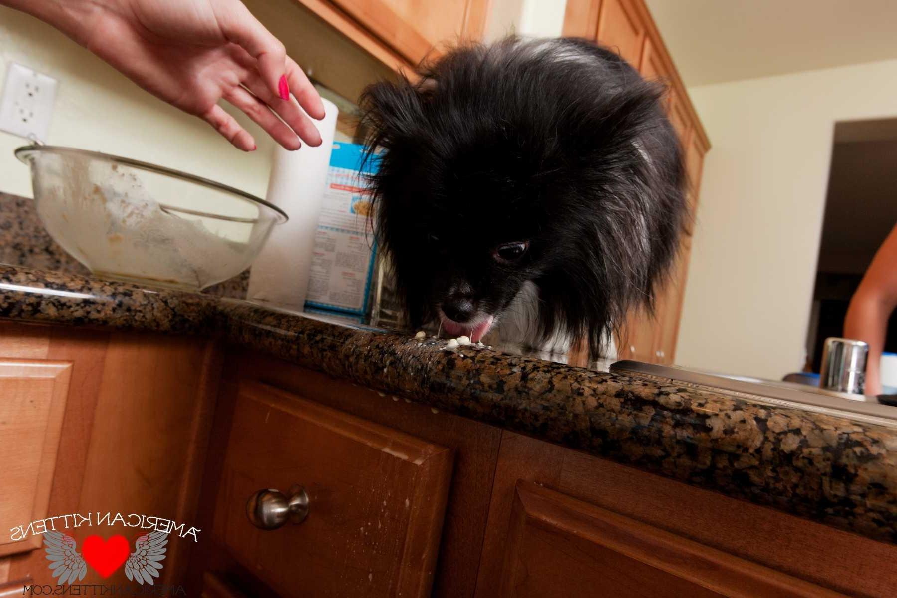 18P Kayden Love in the kitchen full set and there are a ton of great pics this was a