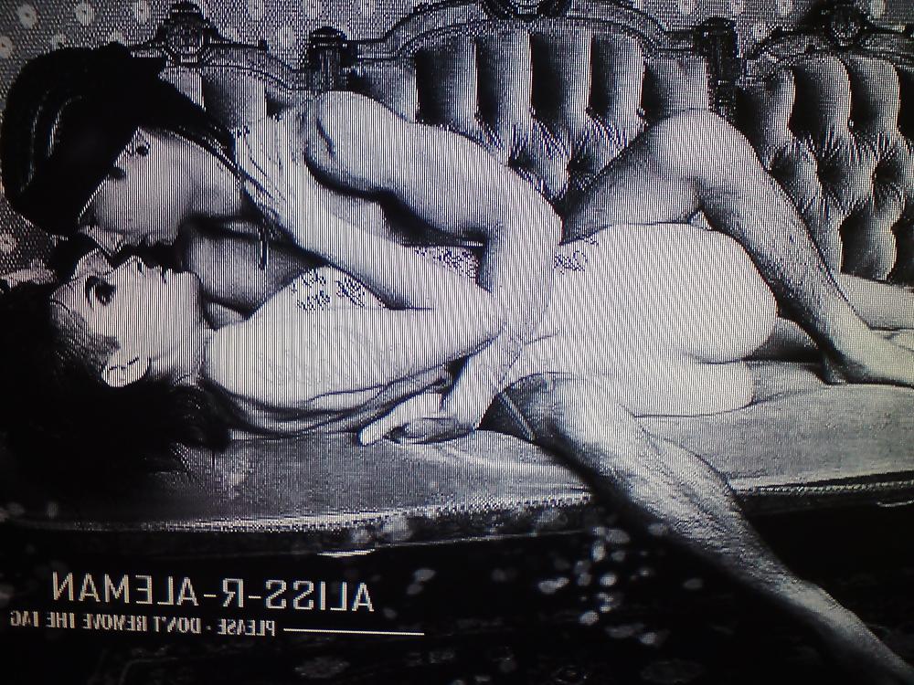 25P Twincest