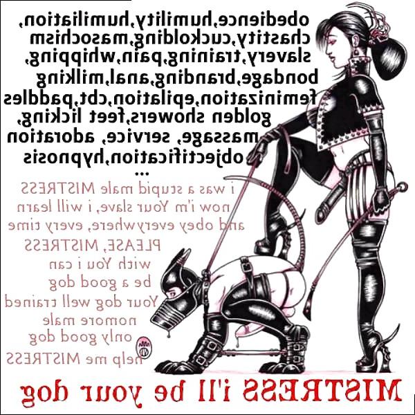 10P Cuckolds 7 chastity