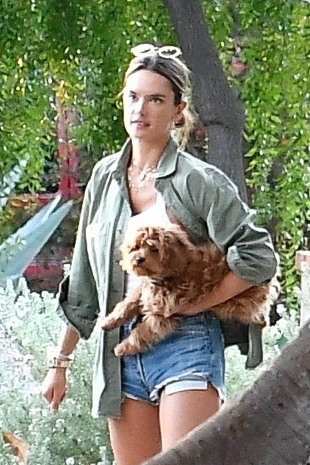 4P Alessandra Ambrosio Erotic