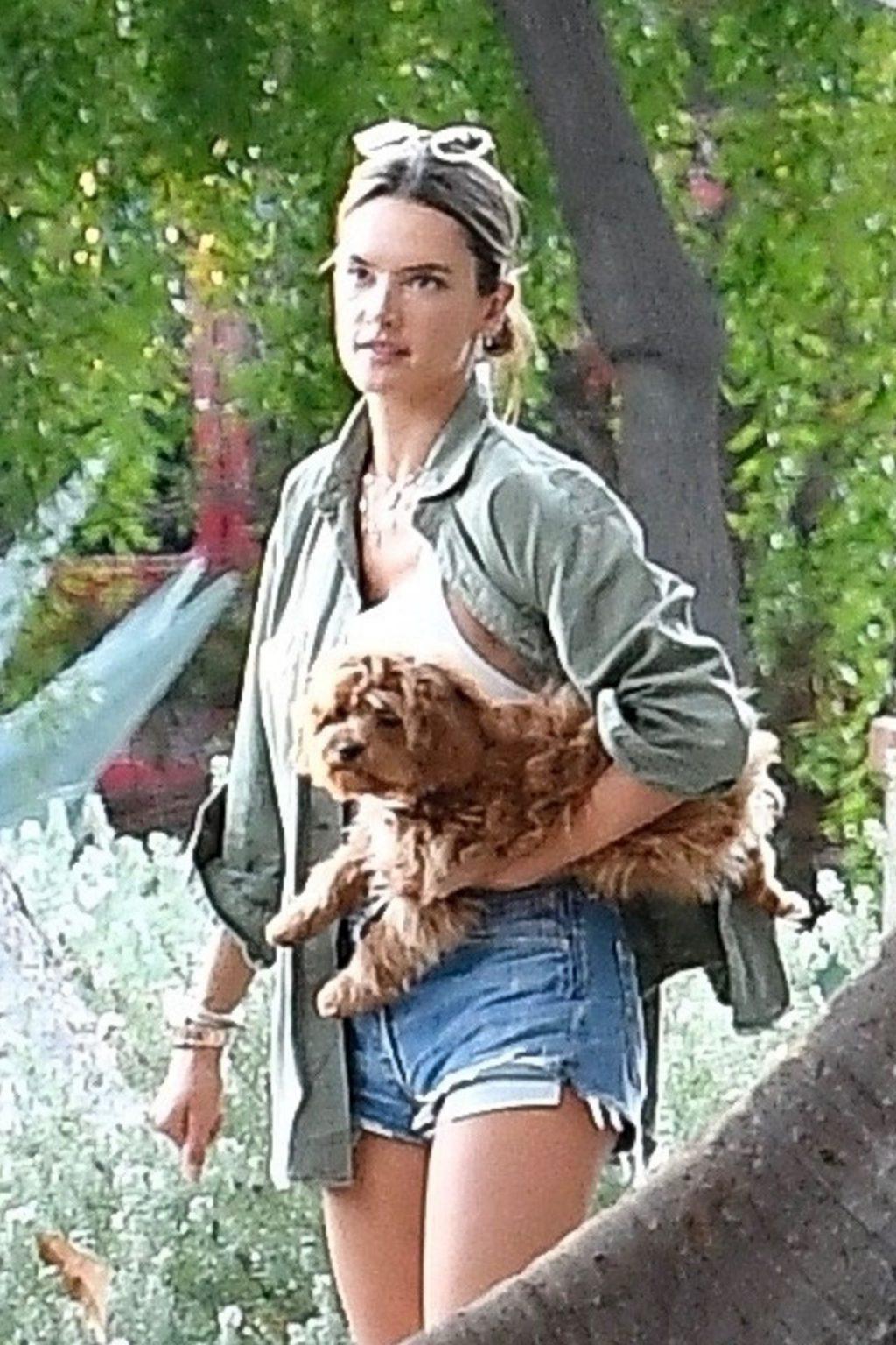 4P Alessandra Ambrosio Erotic