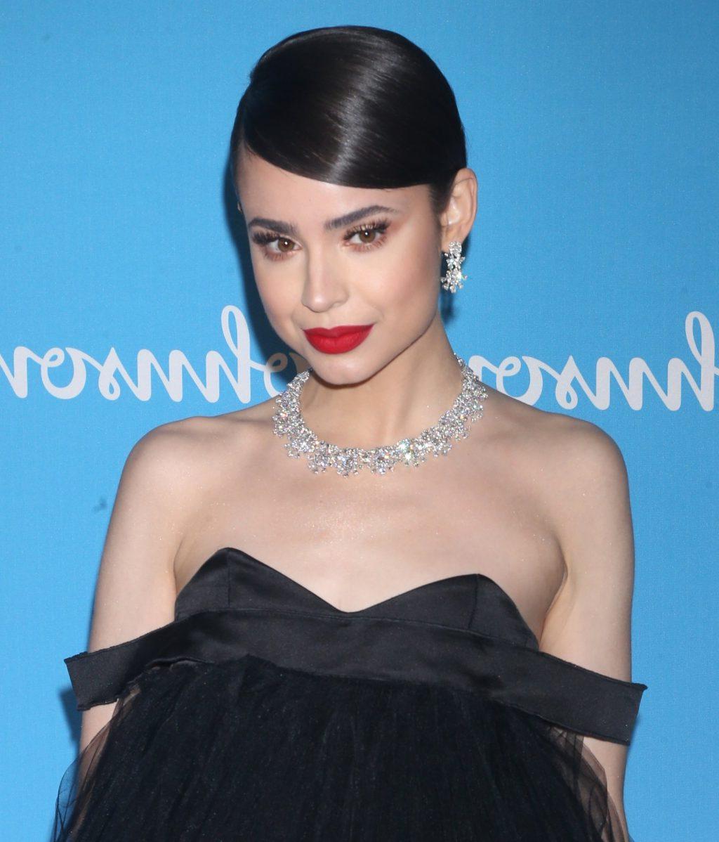 4P Sofia Carson Erotic
