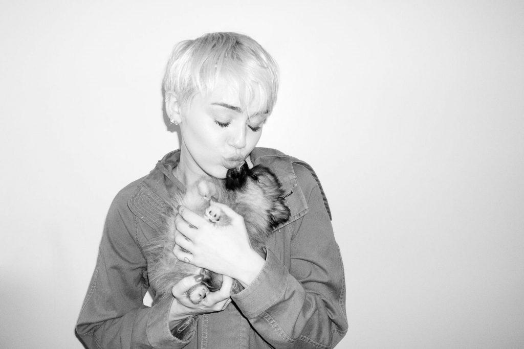 25P Miley Cyrus-Lecks werden das Internet kaputt machen