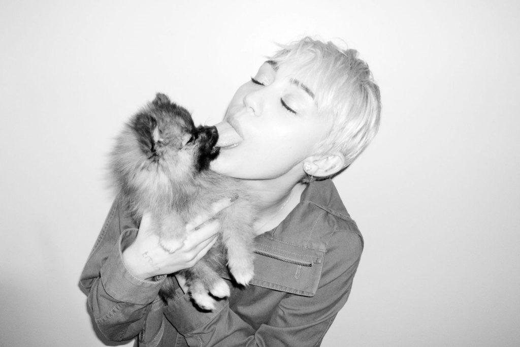 25P Miley Cyrus-Lecks werden das Internet kaputt machen