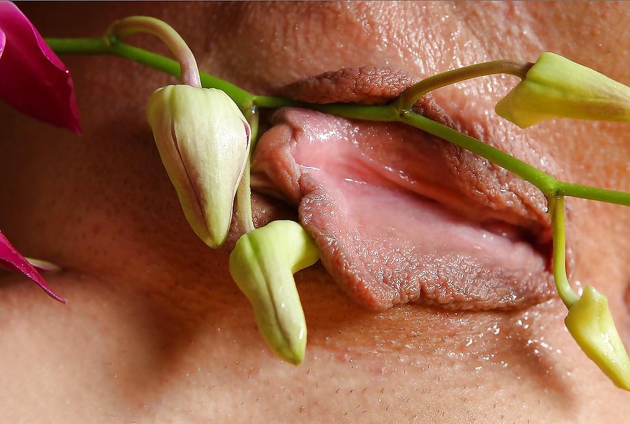 25P Erotic photography 8 in color