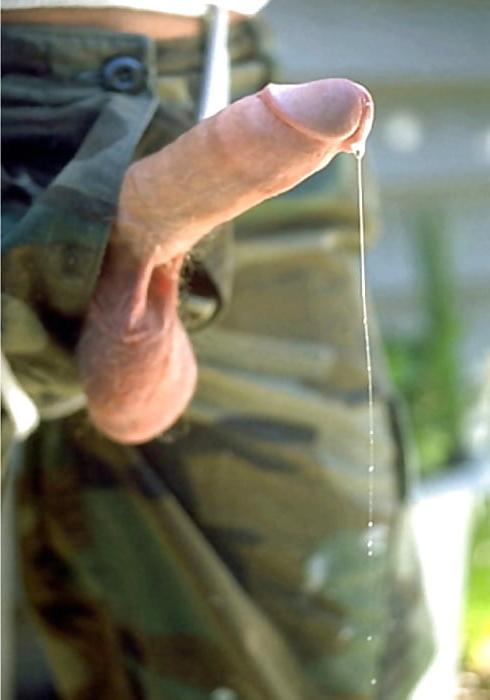 25P Cocks I need creampie from