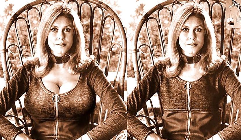 18P Elizabeth Montgomery Bewitched