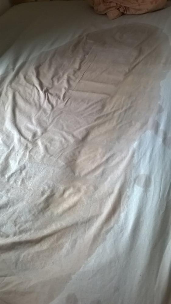6P Pissy Sheets