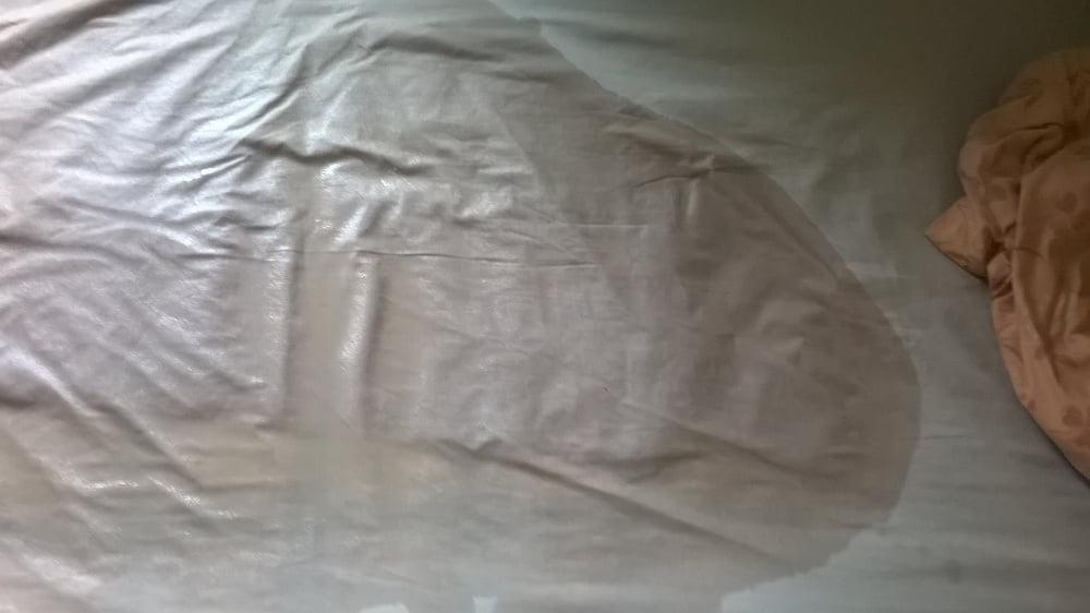 6P Pissy Sheets