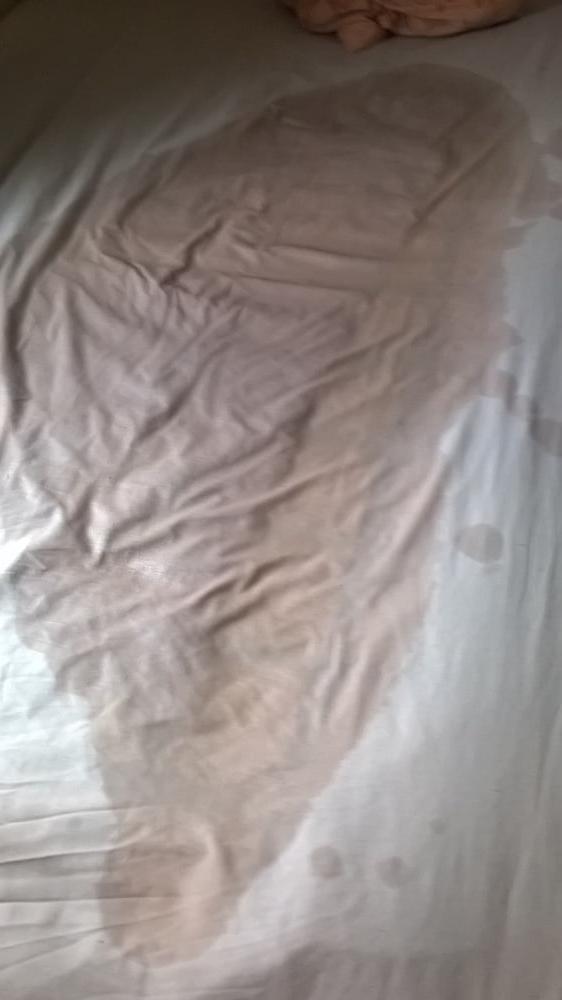 6P Pissy Sheets
