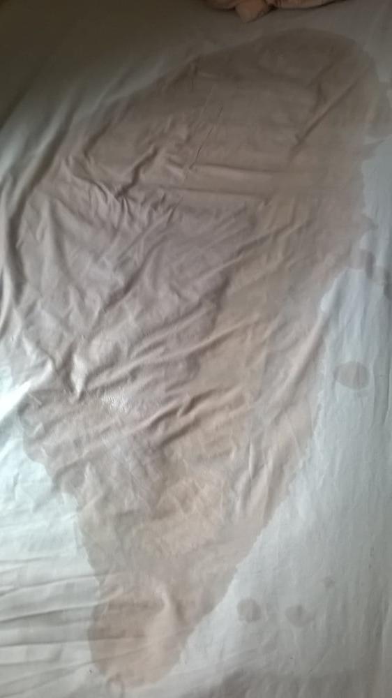 6P Pissy Sheets