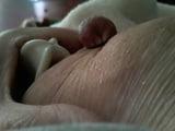 16P Fuckpig exposed