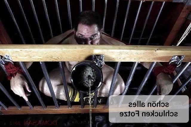 25P Net Pics 2