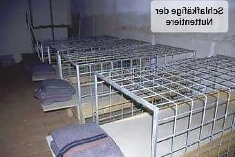 25P Net Pics 2