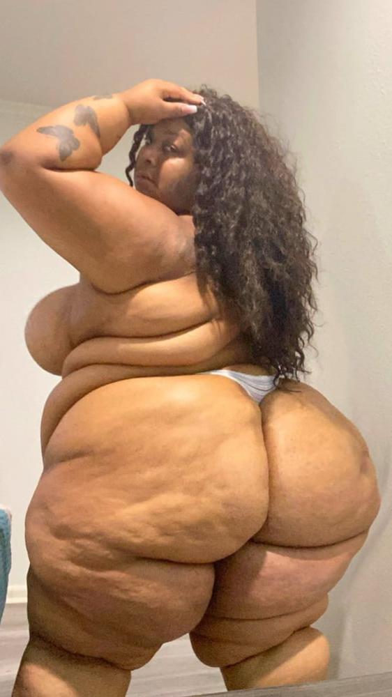 15P SSBBW BUNNITHEBODY