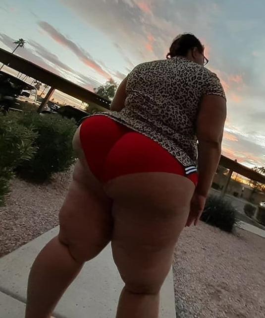 24P MzBoomBoom DONKEY OF LIFE BOOTY