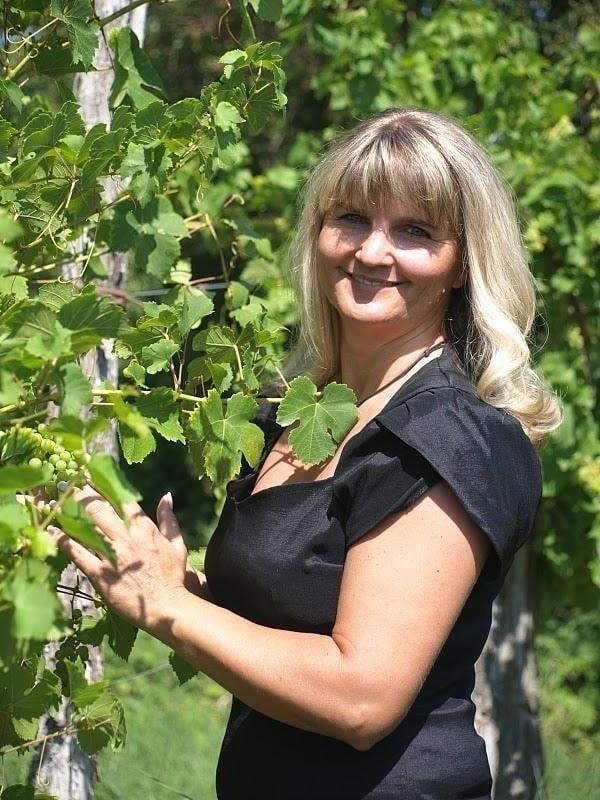 25P Mature gathering Grapes