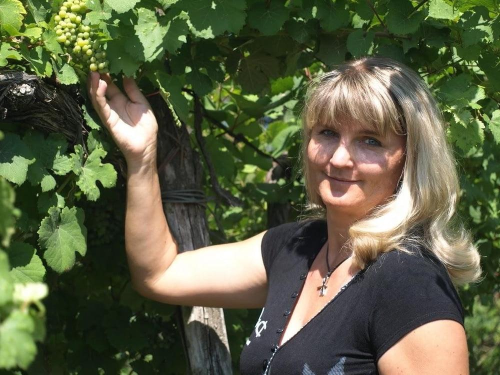 25P Mature gathering Grapes