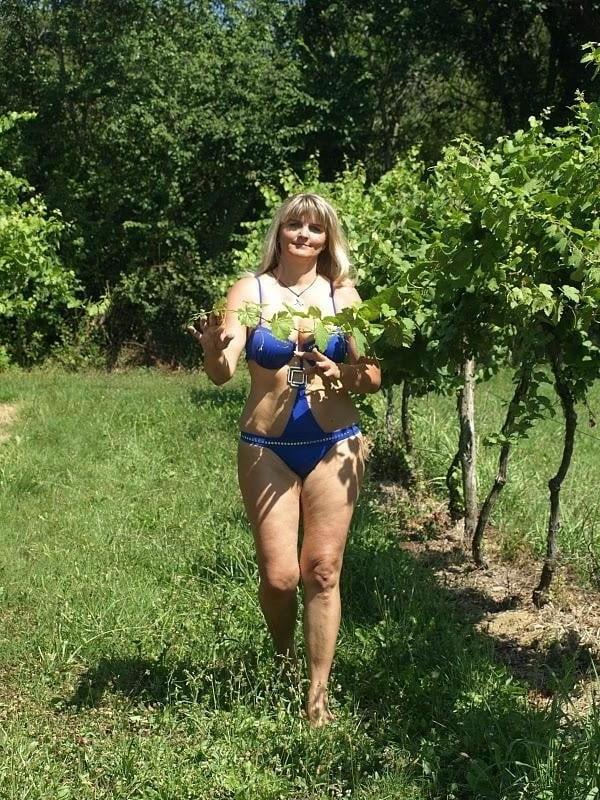 25P Mature gathering Grapes