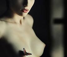 24P Erotic pics