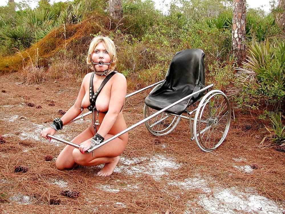 17P Wifes Exposed