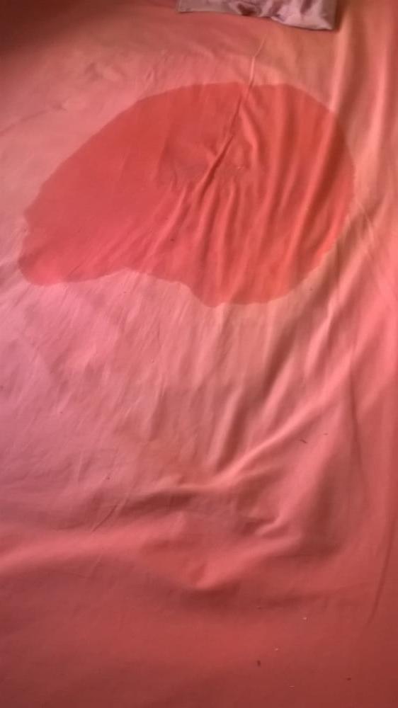 9P Wet the Bed again.