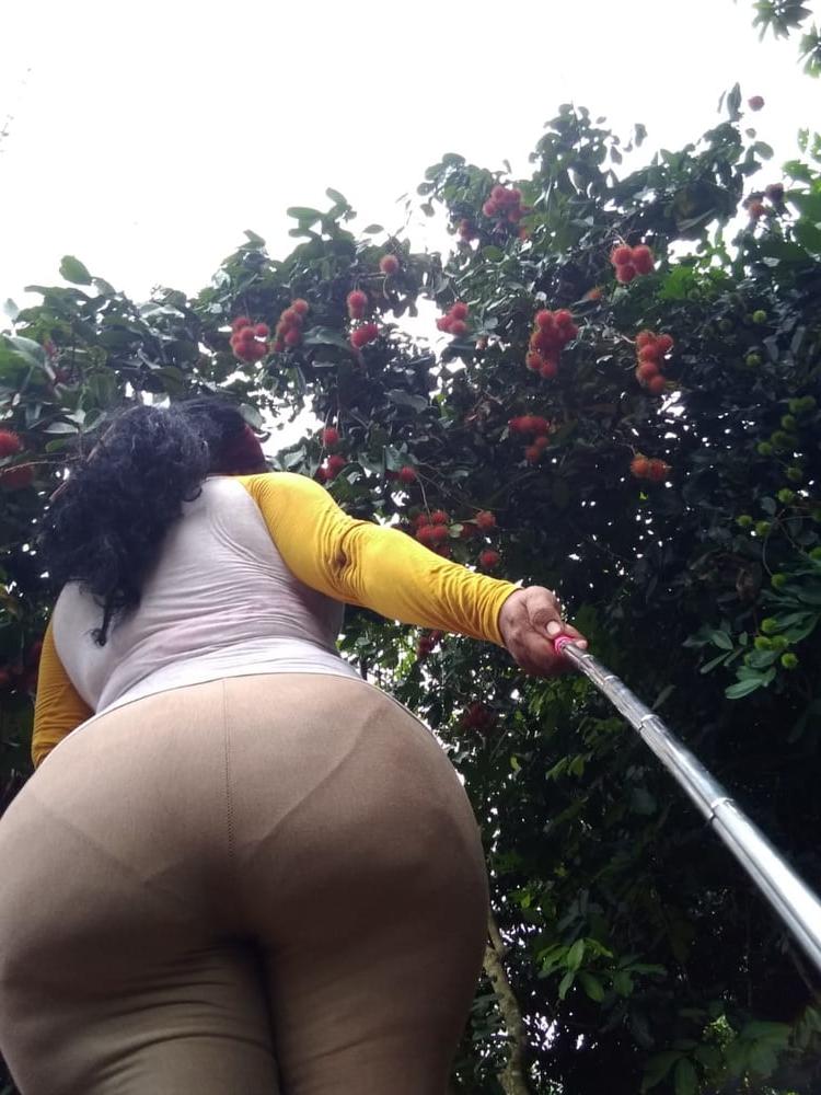 25P bbw boobs ass booty