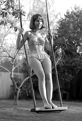 25P Barbara Eden by zarzo