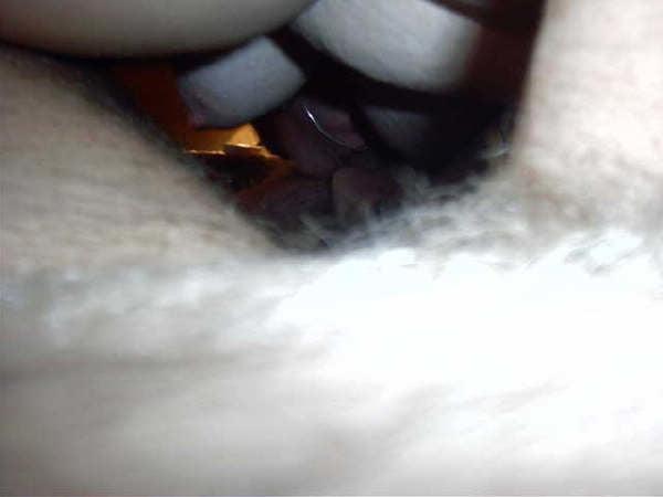 25P SHELLEY FUX STRANGER OFF NET