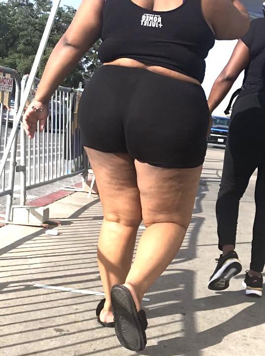14P BBW Hood Booty