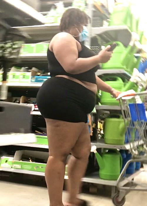 14P BBW Hood Booty