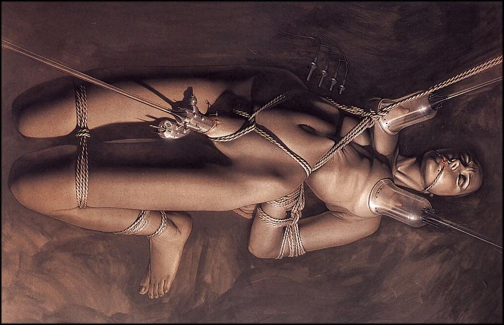 25P Venus pin-ups (Hajime Soroyama's selected artwork)
