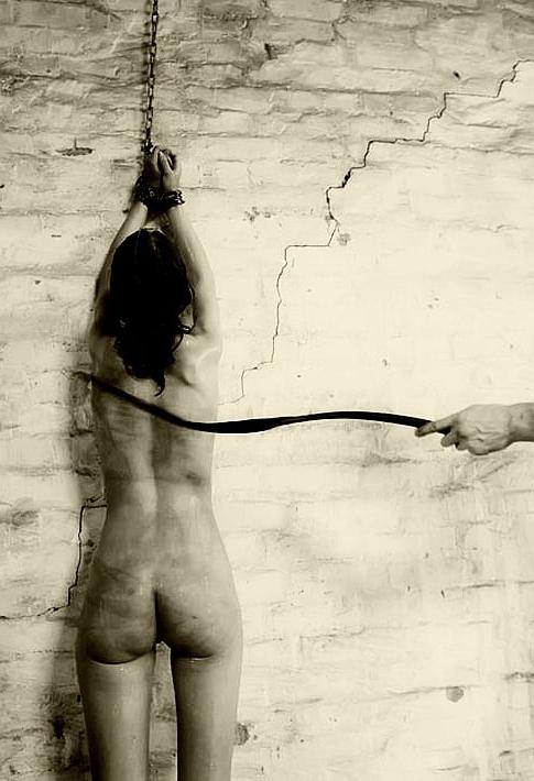 19P Whip as they strike bare skin