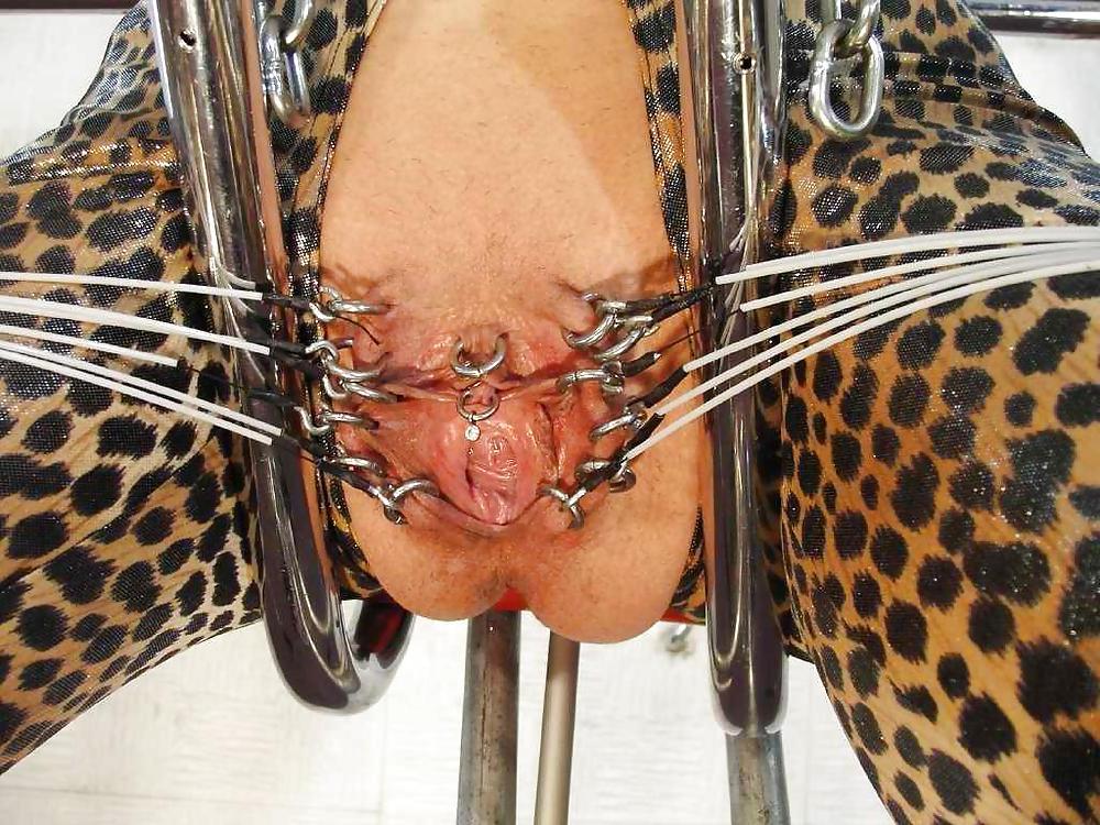 24P Pussy Piercings