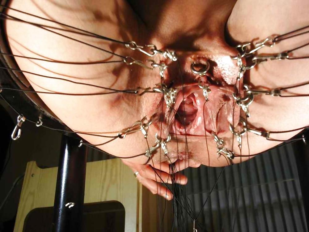 24P Pussy Piercings