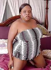 17P PLUMP TRANNIES