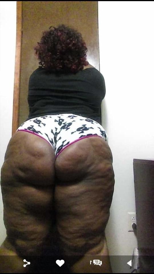 14P fat booty