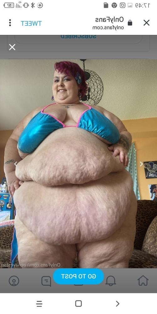 25P Hoodyman SSBBW 320 . Reenaye Starr fox special .