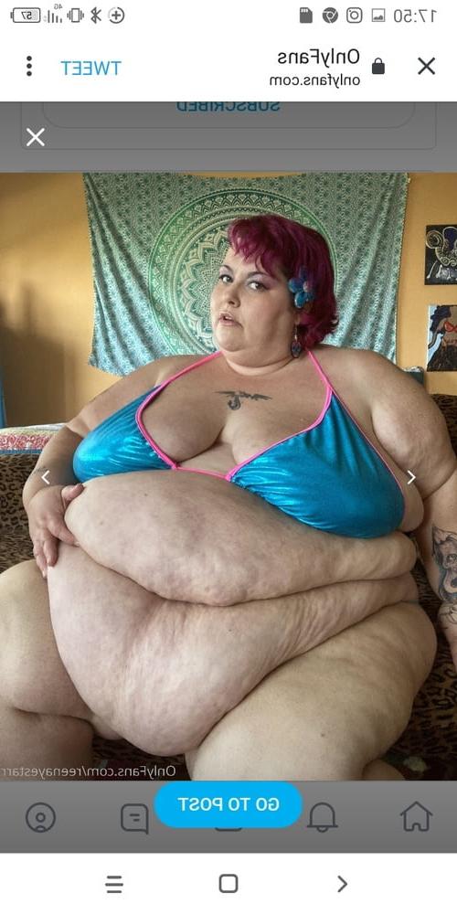25P Hoodyman SSBBW 320 . Reenaye Starr fox special .