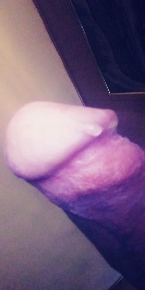 17P cock cum  females