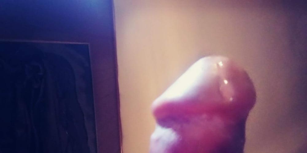 17P cock cum  females