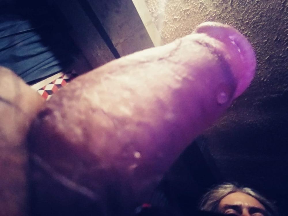17P cock cum  females