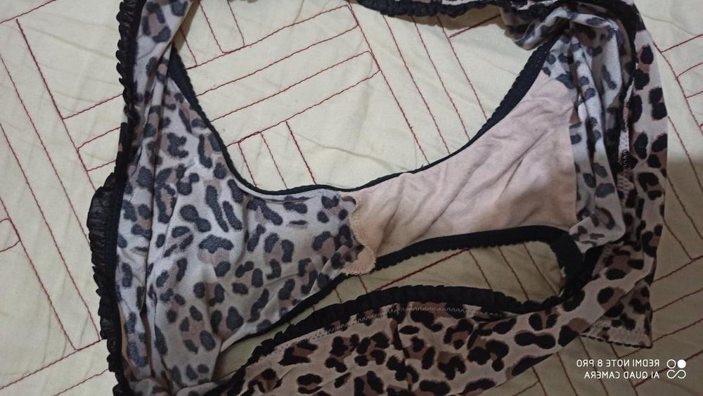 11P My friend's mom panties