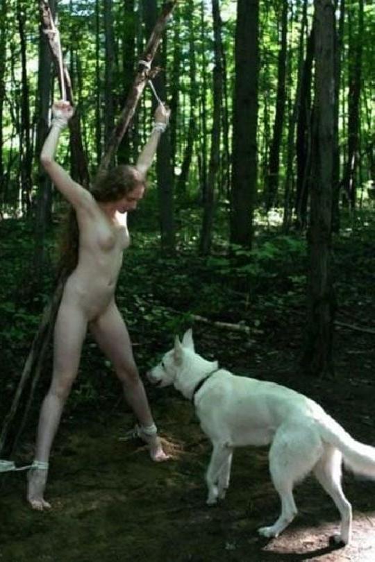 15P LESBIAN ENGLISH SCHOOL IN THE FOREST 1