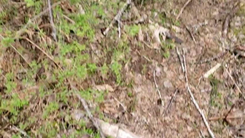 25P PIEMONTE la tossica di mia figlia Valeria 22 anni