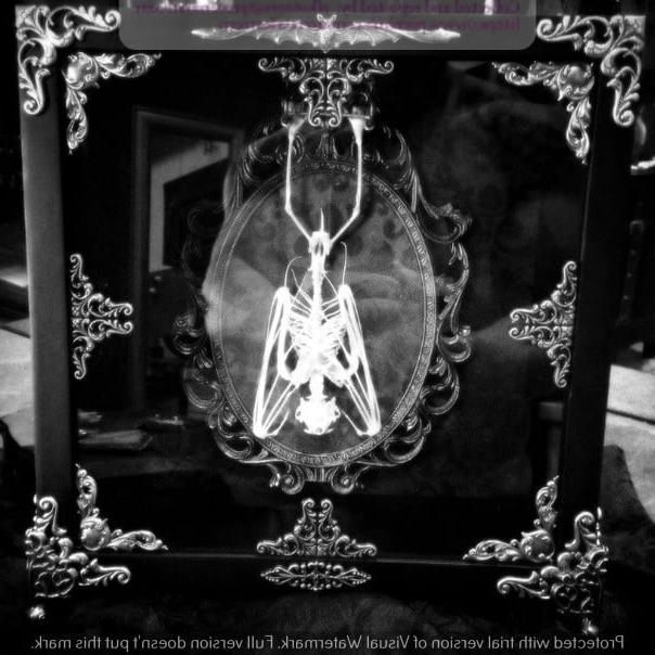 25P Satanic Symbols Photo Collection 3