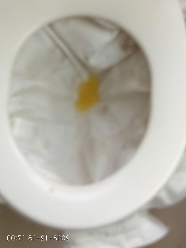12P white blouse piss 7