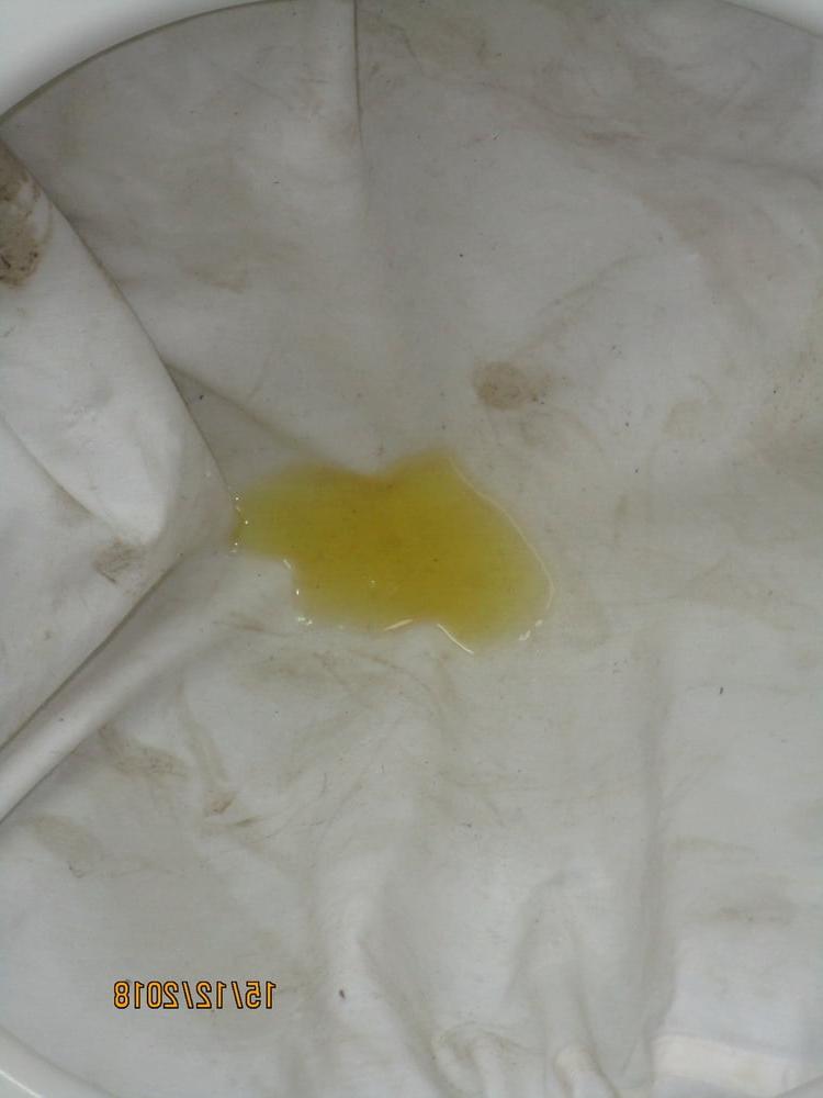 12P white blouse piss 7